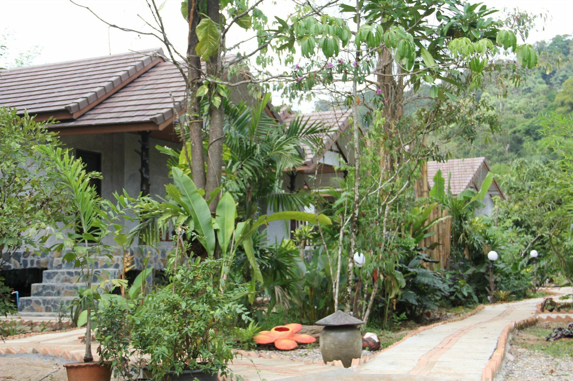 Khao Sok Green Valley Resort - Sha Certified Khao Sok National Park Exterior photo